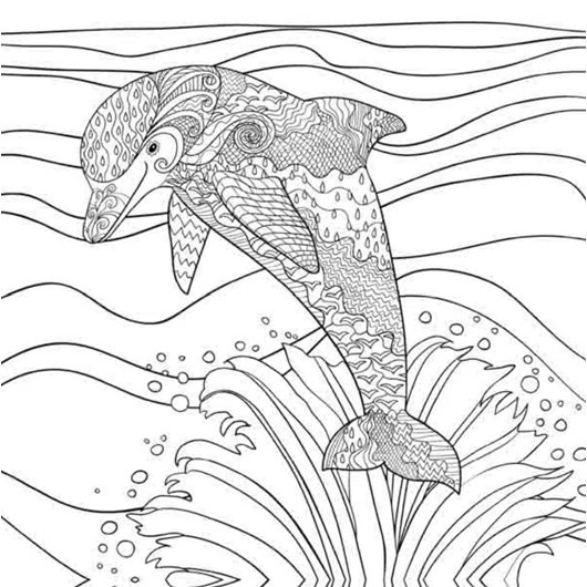 Tangle Raam 20x20 - Dolfijn